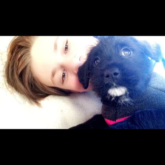 Meet your Posher, Malaki - Picture 1 of 1